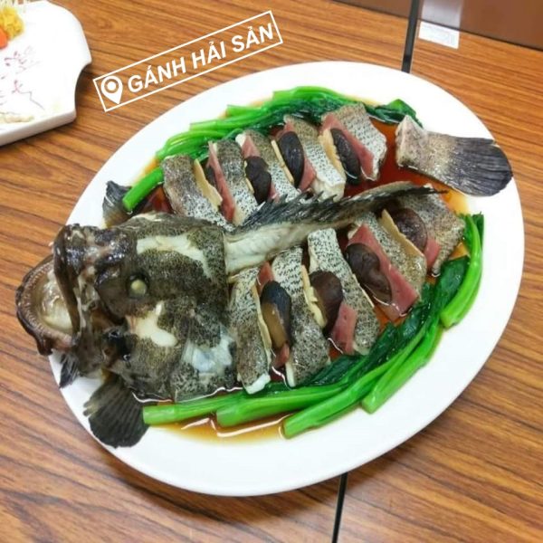 cá mú trân châu