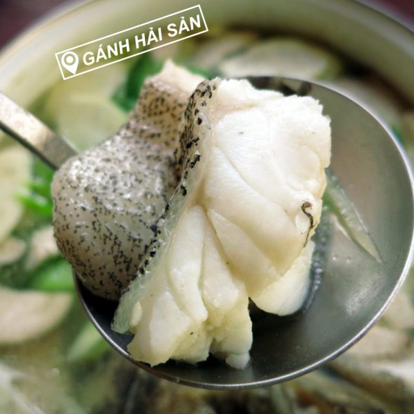 cá mú trân châu