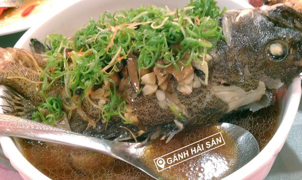 cá mú trân châu