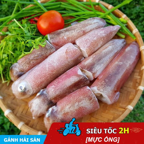 Mực ống lớn