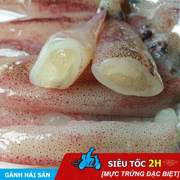 mực trứng nhỏ