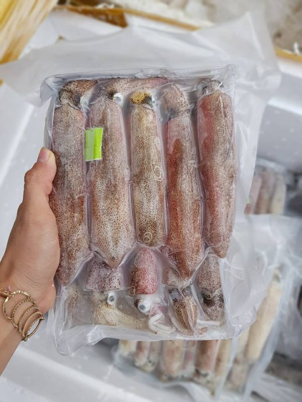 mực trứng nhỏ