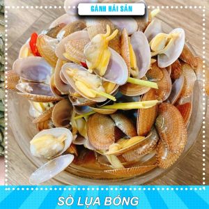 Sò lụa bóng