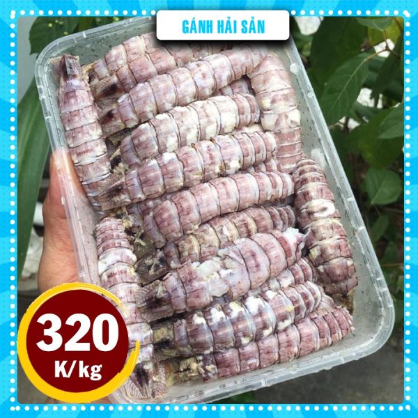 TÔM TÍT GẠCH - Ảnh 2